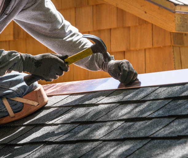 Roof Gutter Cleaning in Bartlett, TN